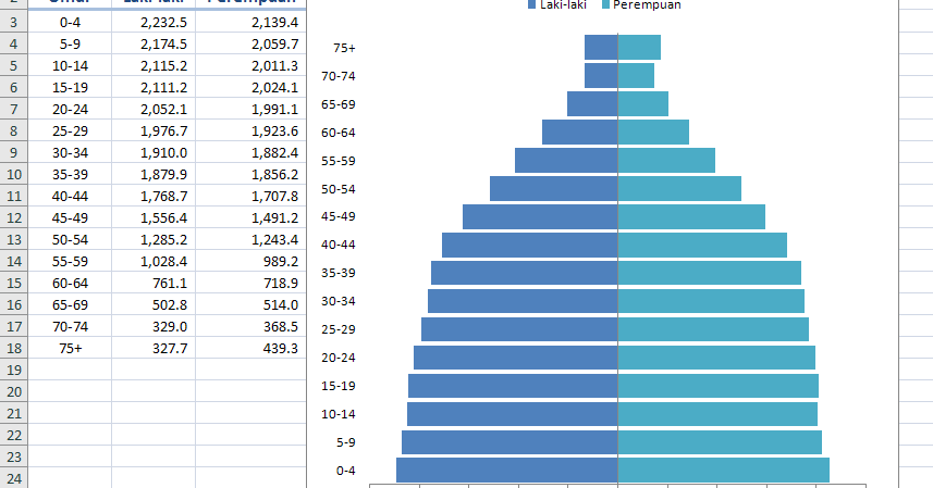 Cara Membuat Grafik Piramida Penduduk Dengan Excel