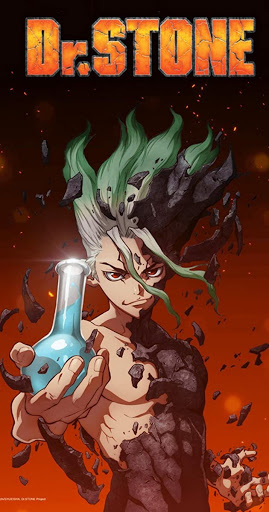 Dr. Stone