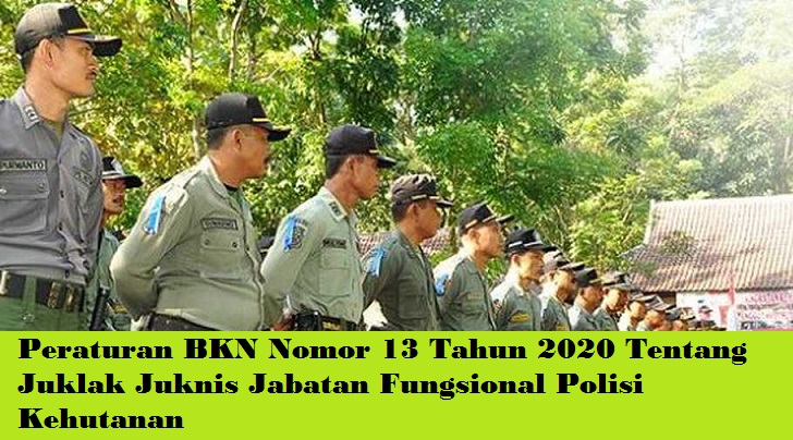 Peraturan BKN Nomor 13 Tahun 2020 Tentang Juklak Juknis Jabatan Fungsional Polisi Kehutanan (polhut)