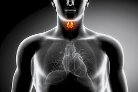Penyakit jantung tiroid