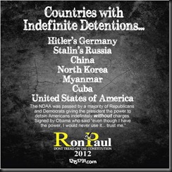 ronpaul2012-ndaa