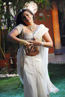 Aarti_Agarwal_hot_saree_photo