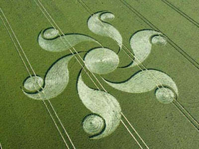 Amazing Crop Circle