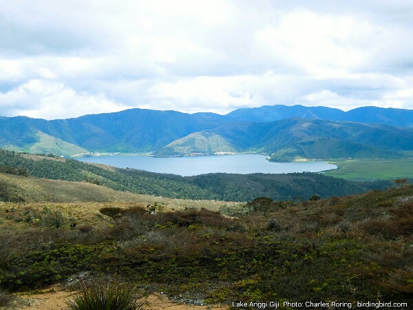 Lake Anggi Giji as seen from Kobrey peak