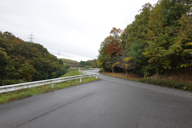 鳥取県西伯郡南部町鶴田　とっとり花回廊