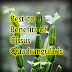 Best 10 Benefits of Cissus Quadrangularis