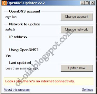 openDNS Client