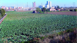 Can Trabal. La ciudad arrincona el campo