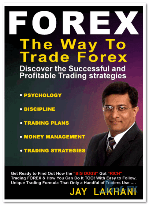 The Way To Trade Forex pdf