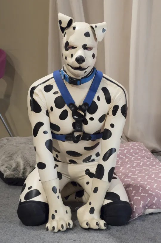 Tom Peters the human Dalmatian