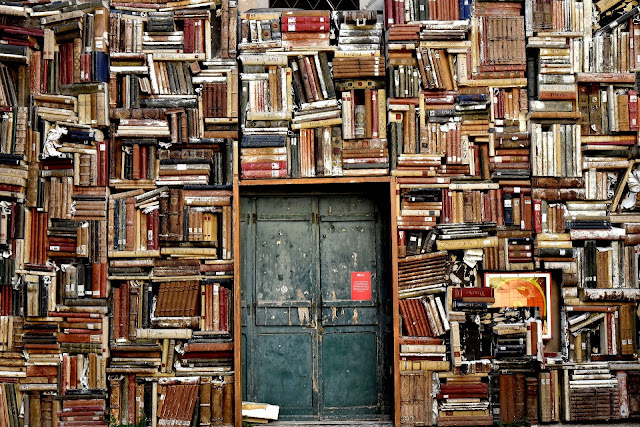 來源:https://pixabay.com/photos/books-shelves-door-entrance-1655783/