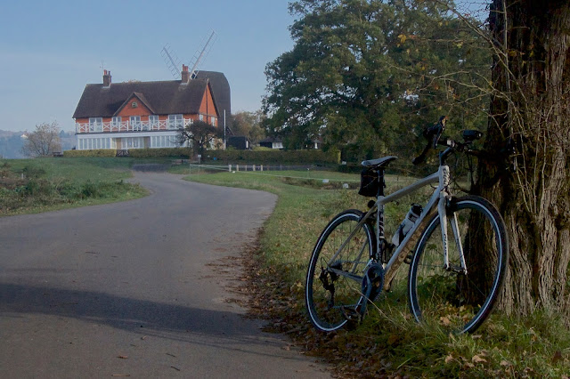 Reigate Common