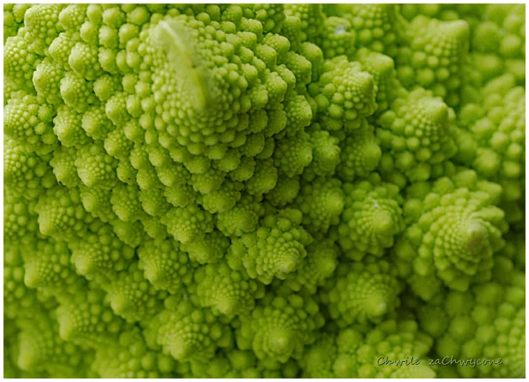 Romanesco, kalafior rzymski, kalafior romański