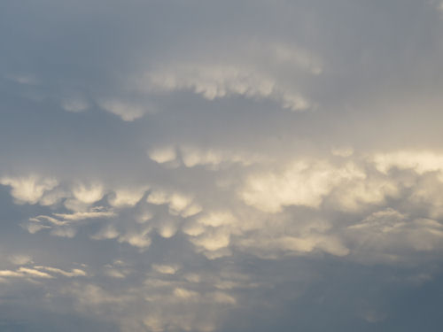 mammatus clouds