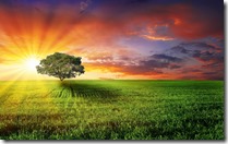 tree-of-the-life-68163