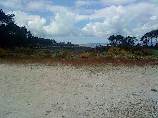 by E.V.Pita... Galician Beaches: Island of Vilanova de Arousa (Galicia, Spain) / por E.V.Pita... Isla de Arousa en Rías Baixas / por E.V.Pita... A Illa, na ría de Arousa (Rías Baixas) ... http://evpita.blogspot.com/2011/06/galician-beaches-island-of-arousa.html