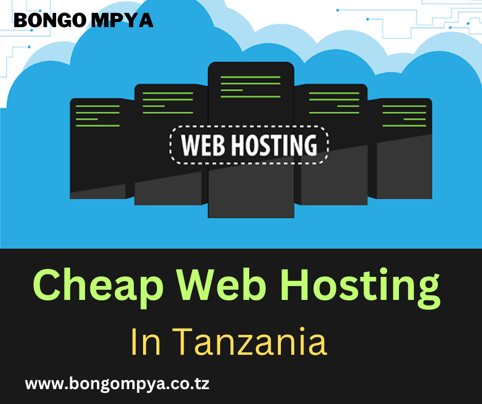Cheap Web Hosting in Tanzania