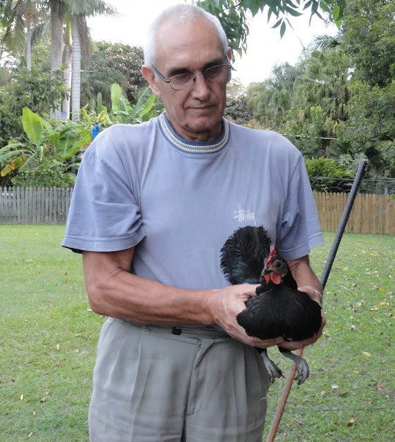 Changes in the chicken coop