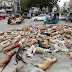 Photos: Hundreds of stray dogs poisoned in Pakistan