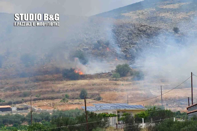 Πυρκαγιά στο Μάνεσι Αργολίδας