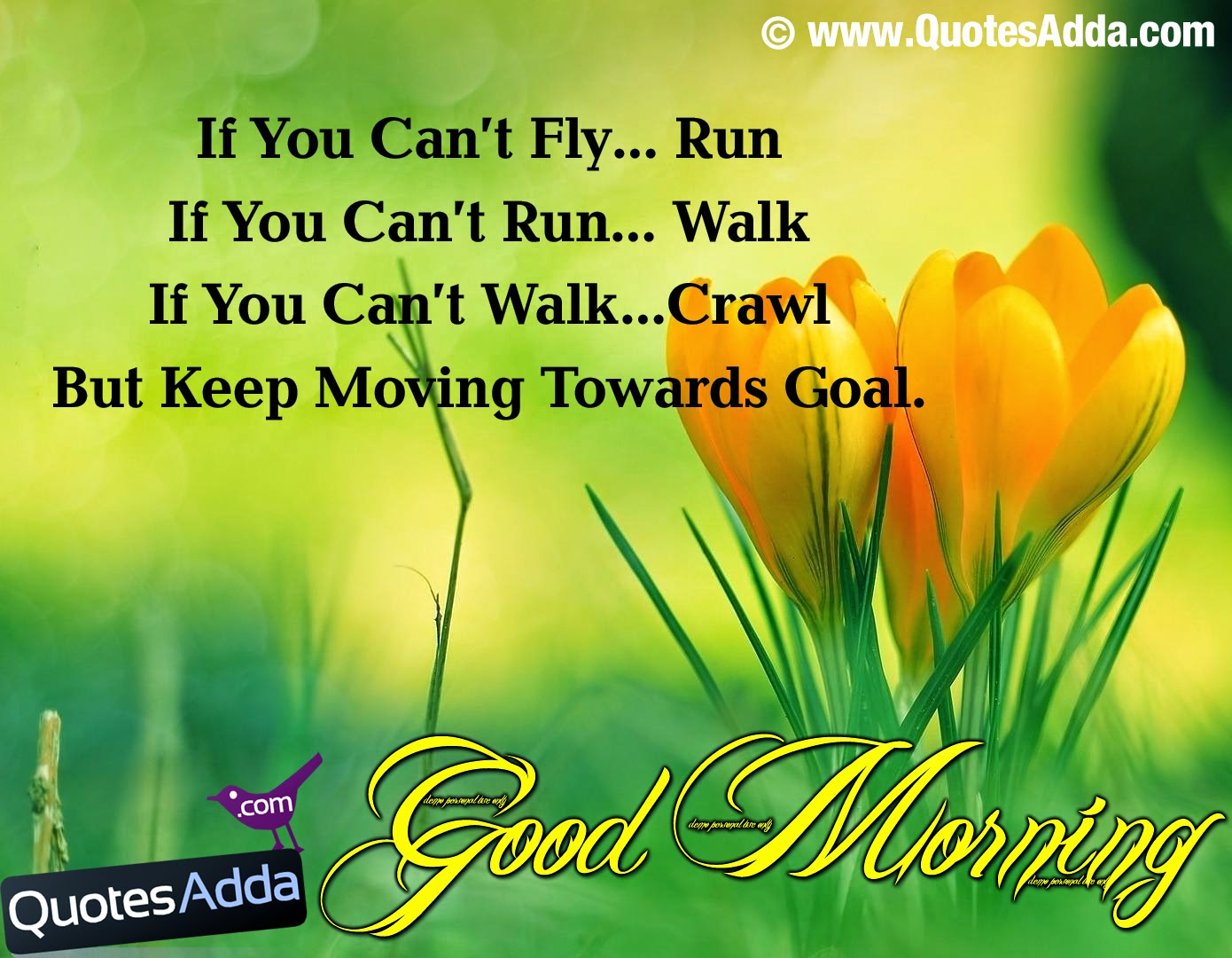 good morning english shayari best good morning images good morning ...