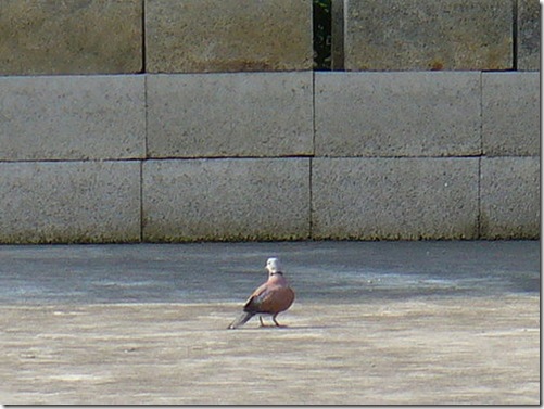 clip_image002