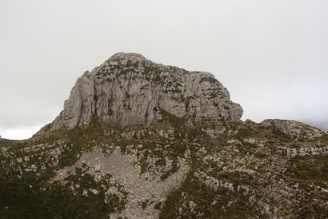 pico Bustarejo