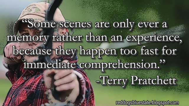 “Some scenes are only ever a memory rather than an experience, because they happen too fast for immediate comprehension[.]” -Terry Pratchett