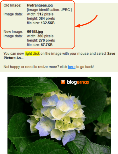 Mengubah Ukuran Foto secara Online di Situs Resize