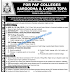 PAF Colleges Sargodha & Lower Topa Muree Jobs 