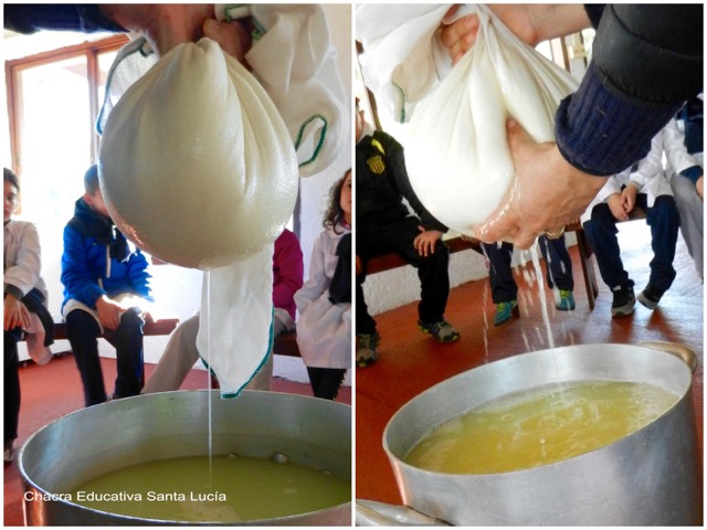 Escurriendo la pasta contenida dentro del lienzo - Chacra Educativa Santa Lucía