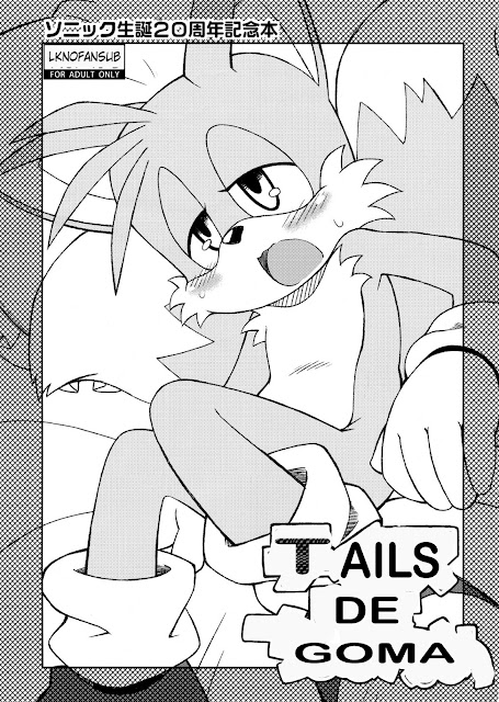 Tengai Aku Juumonji, Tails Of Chomechome, Sonic the Hedgehog, yaoi, Furry, Tails, 