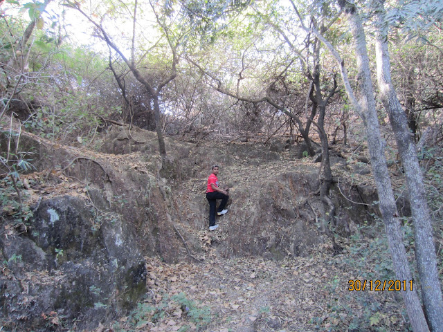 travor national park