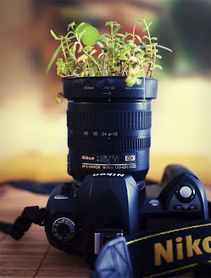 Creative Nikon Camera Plant Pot