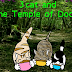 3 Cats and The Temple of Doom