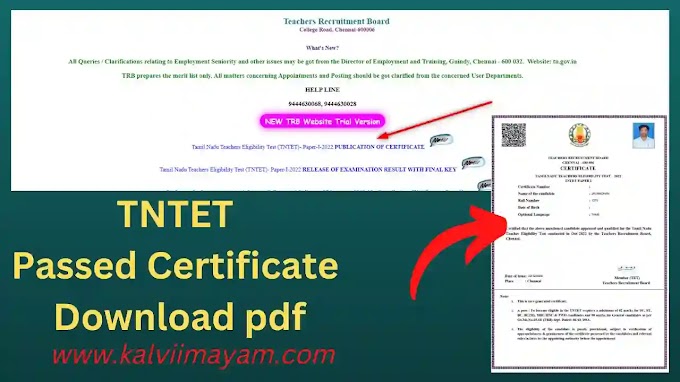 TNTET Passed Certificate 2022 Download pdf