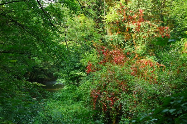 baden bei wien helenental 