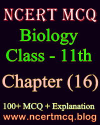 Biology MCQ, Class-11th, Chapter-16, Excretory Products and Their Elimination