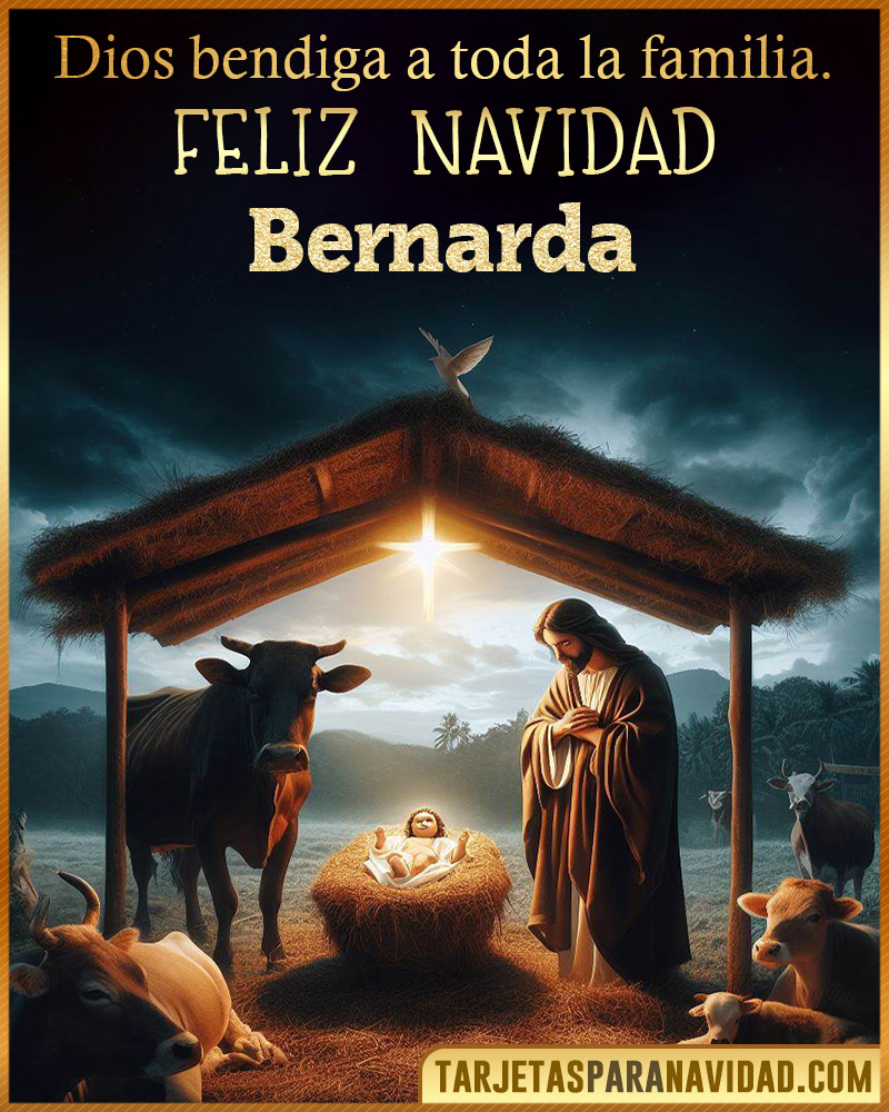 Feliz Navidad Bernarda