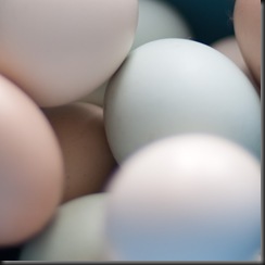 abstract eggs (1 of 1)