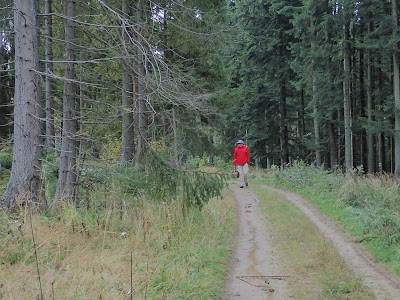 grzyby 2019, grzyby w październiku, grzyby na Orawie, mleczaje, podgrzybki, muchomory, grzyby po przymrozkach