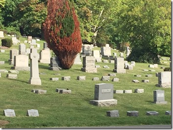 Photograph of a cemetery by the Ancestry Insider