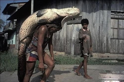 The Biggest Animal & Plant Ever Found In The World Seen On  www.coolpicturegallery.us