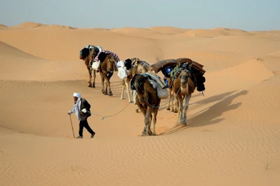 The Sahara Desert and Matmata, Tunisia