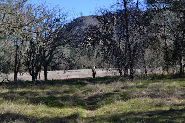 oak savanna area with a trail