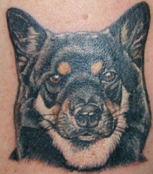 Dog Tattoos