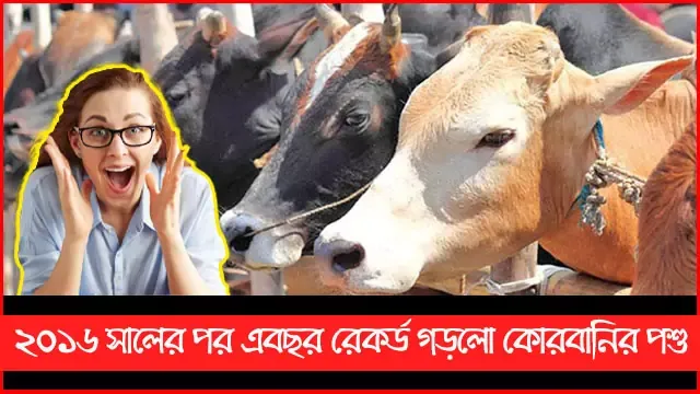 ২০১৬-সালের-পর-এবছর-রেকর্ড-গড়লো-কোরবানির-পশু