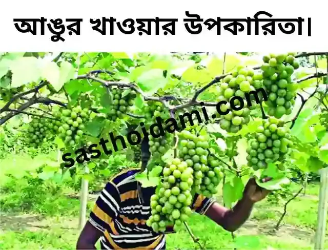 আঙুর খাওয়ার উপকারিতা। Benefits of eating grapes.