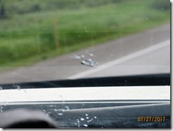 IMG_0372