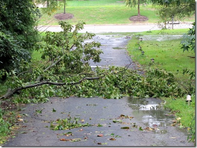 Driveway09-19-10